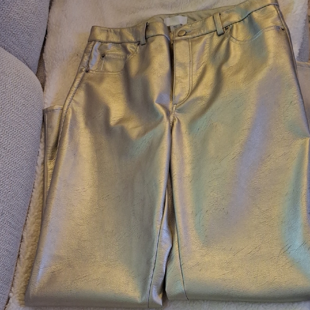 H&M Metallic Vegan Pants